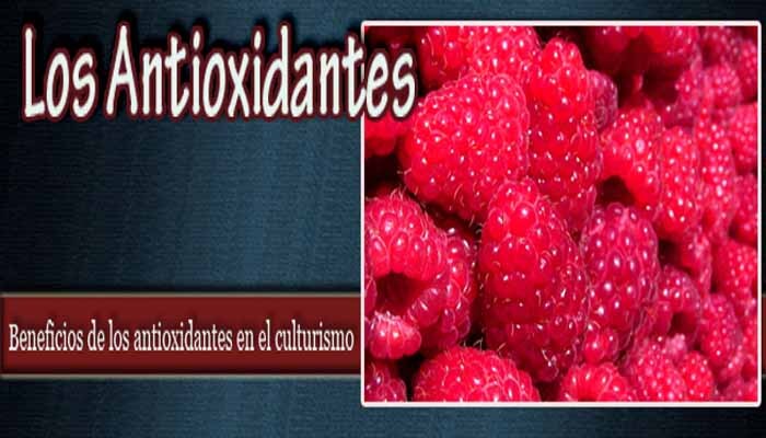Los antioxidantes